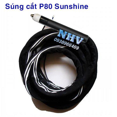Bộ dây cắt Plasma P80A Sunshine Tay thẳng